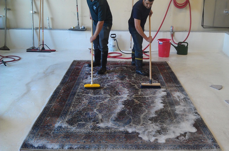 Rug Cleaning