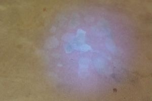 Urine detection by D&G Carpet Cleaning