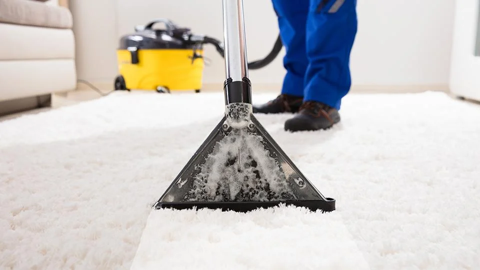 Carpet Cleaning